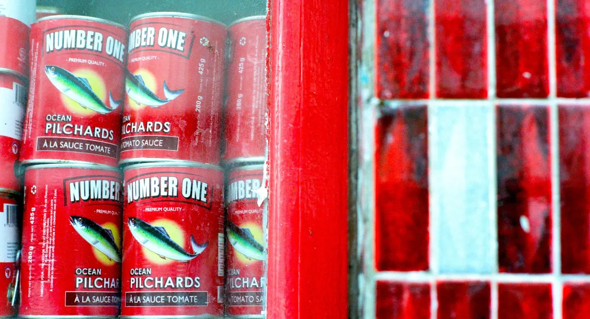 Nos goûts, ils viennent d’où ?