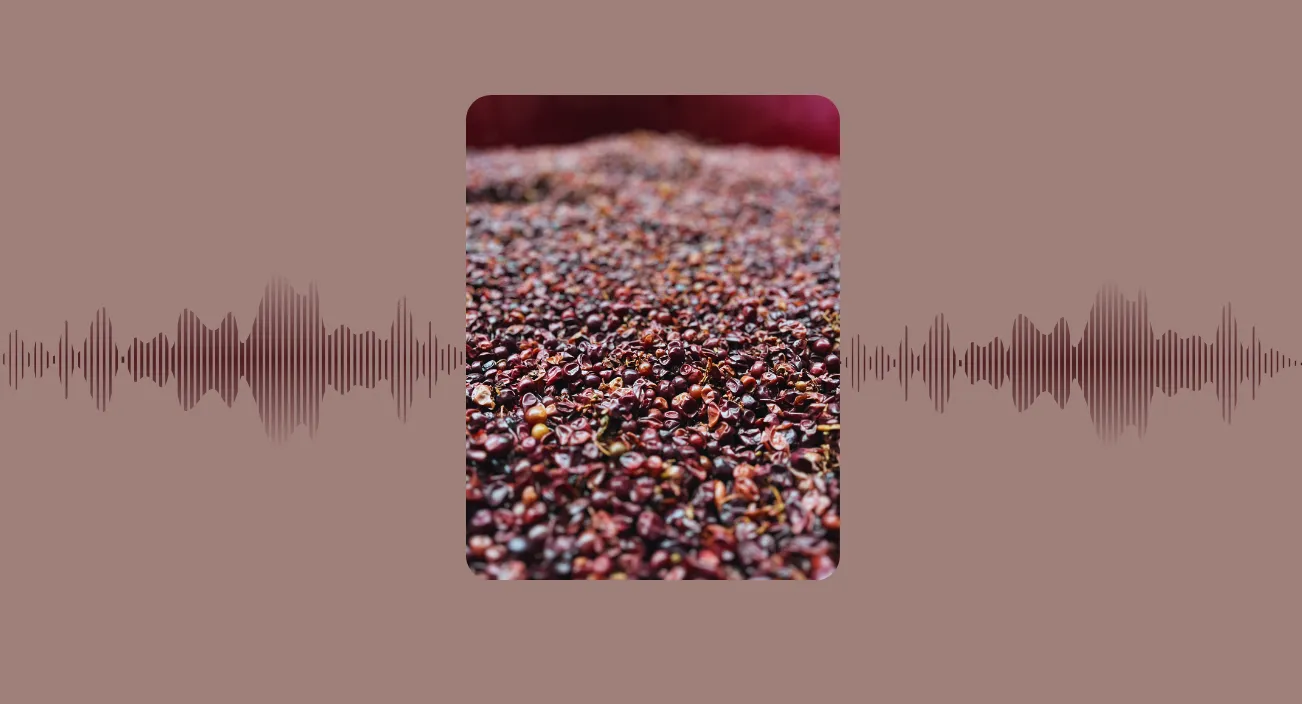 🎙 Saga "Plus belle la vigne" - épisode 6 : les vinif'