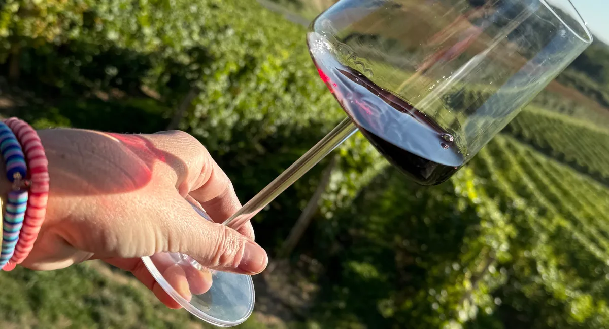 Le vin dégage-t-il une énergie ? Vous avez 1h.